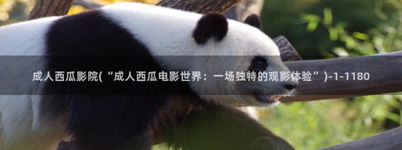 西瓜影院网页版