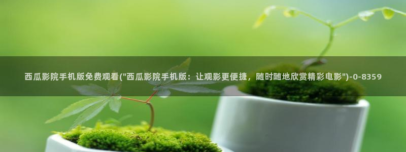 西瓜视频在线看