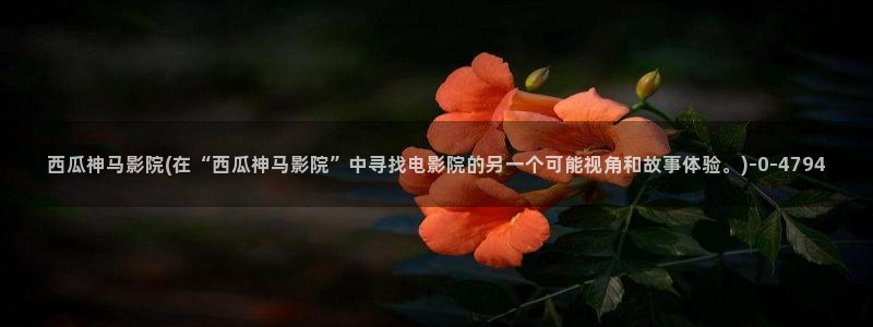 西瓜播放器影视