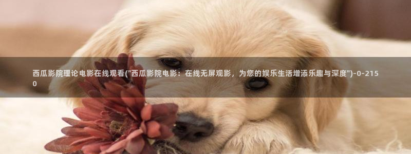 西瓜影院免费观看电视剧电影