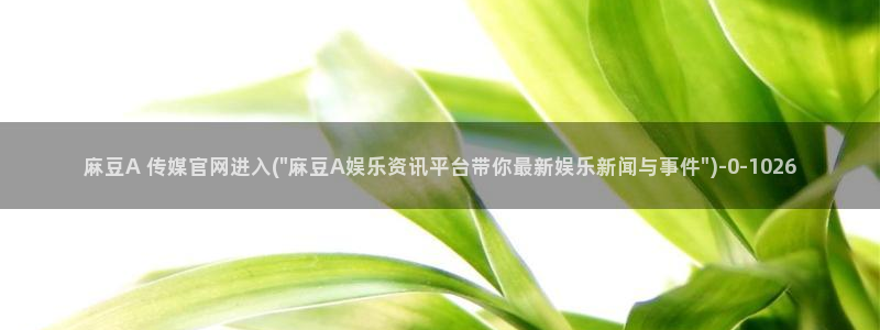 麻豆视频 专区推荐：麻豆A 传媒官网进入(\
