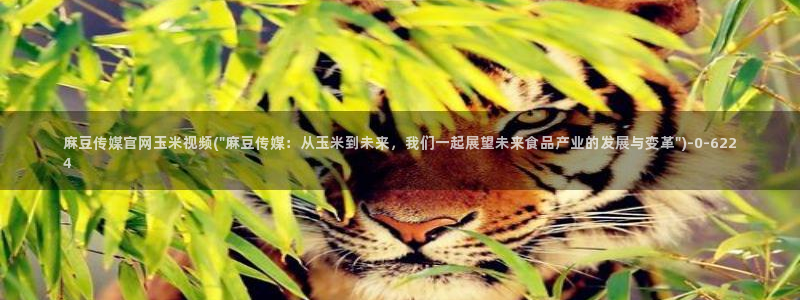 麻豆资源完整版：麻豆传媒官网玉米视频(\