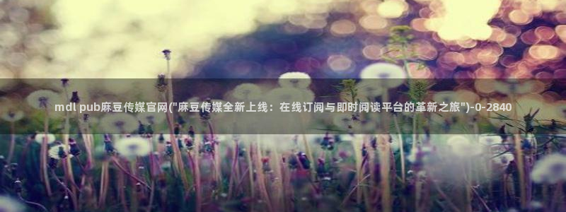 麻豆视频站完整版：mdl pub麻豆传媒官网(\