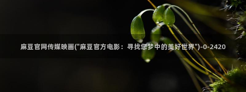麻豆视频完整版专区：麻豆官网传媒映画(\