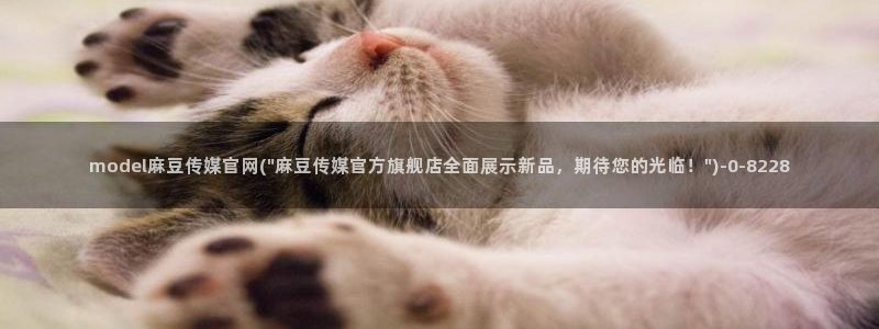 麻豆视频 专区高清：model麻豆传媒官网(\