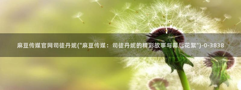 麻豆 页面：麻豆传媒官网司徒丹妮(\