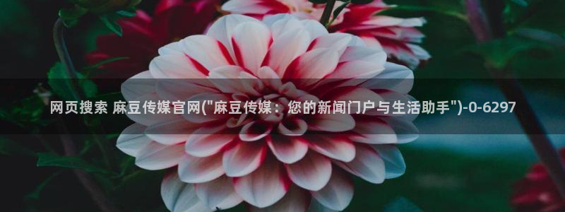麻豆视频 高清最新：网页搜索 麻豆传媒官网(\
