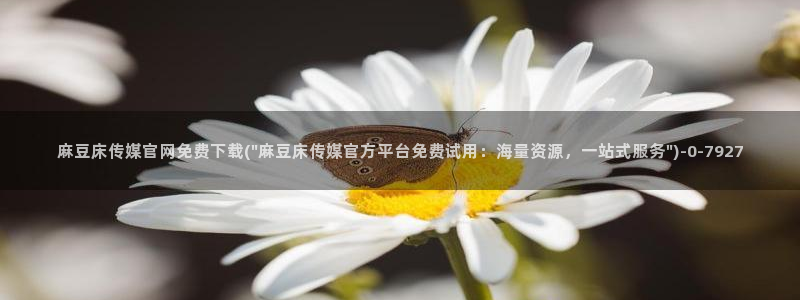 麻豆精选更新：麻豆床传媒官网免费下载(\