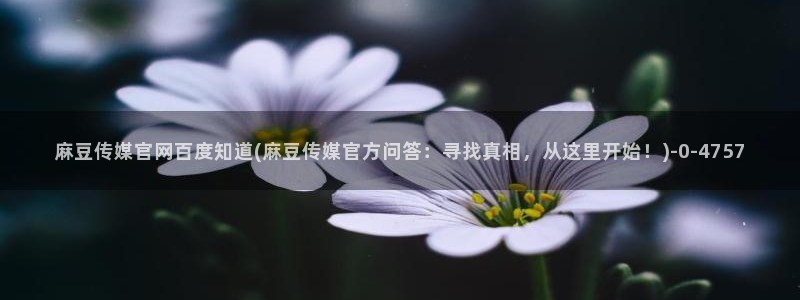 麻豆视频站高清