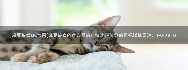 麻豆视频资源