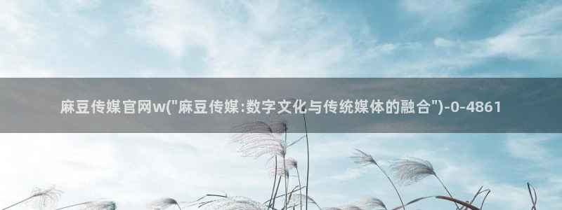 麻豆 页面