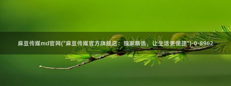 麻豆 最新页面：麻豆传媒md官网(\