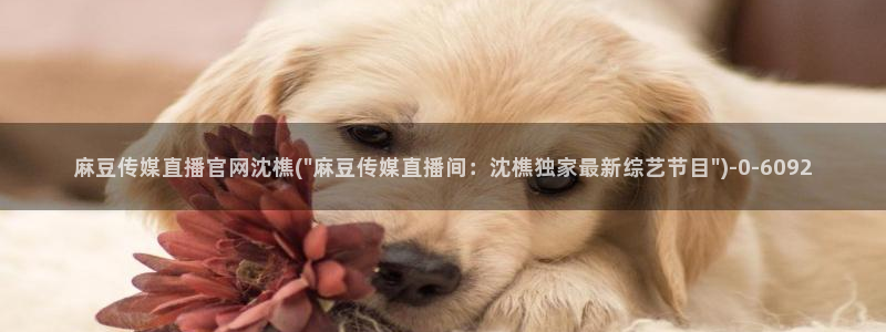 麻豆高清专区