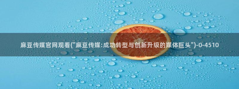 麻豆视频专区专区：麻豆传媒官网观看(\