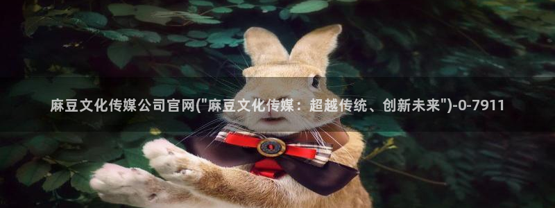 麻豆视频 在线看更新
