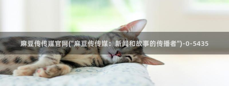 麻豆 更新页面：麻豆传传媒官网(\