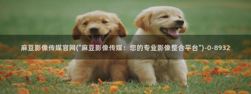 麻豆 精选更新：麻豆影像传媒官网(\