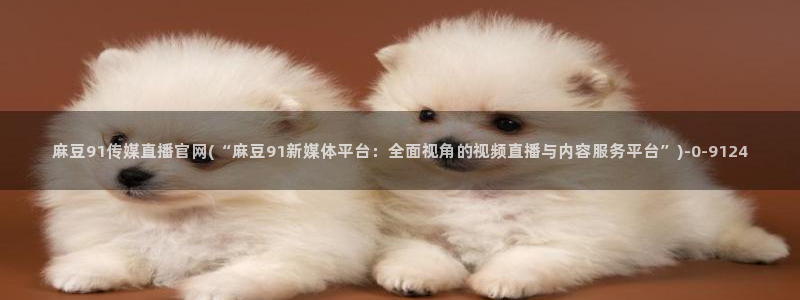 麻豆视频站整理