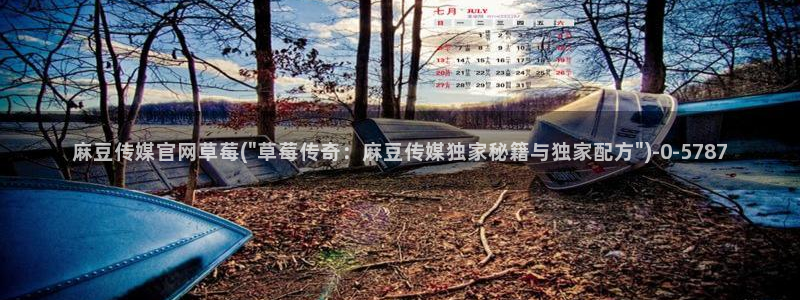 麻豆完整版推荐