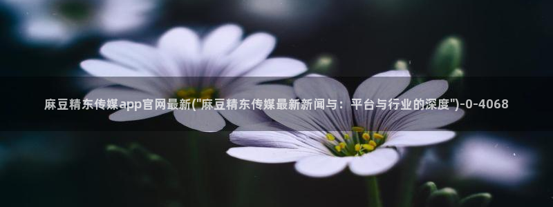 麻豆 下载页面