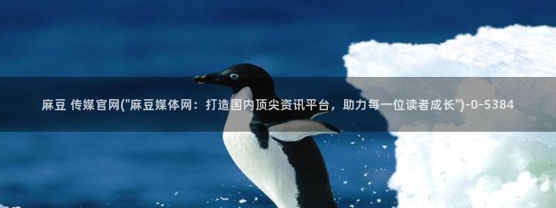 麻豆 完整版在线看