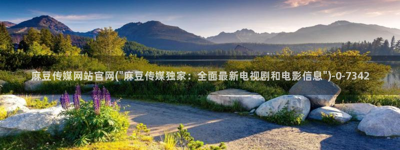 麻豆 页面：麻豆传媒网站官网(\