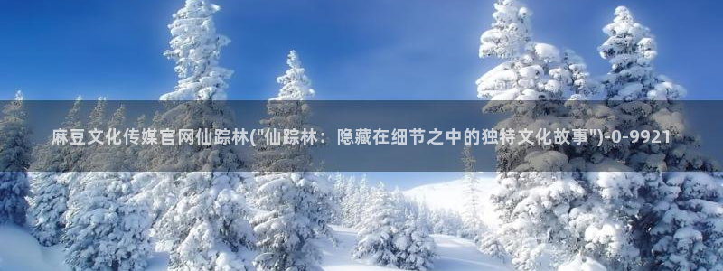 麻豆视频 更新页面