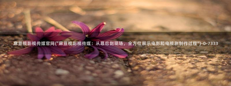 麻豆视频 高清更新：麻豆视影视传媒官网(\