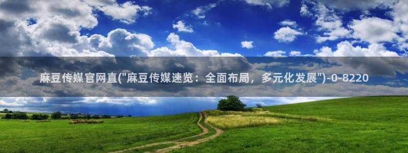 麻豆官方：麻豆传媒官网直(\