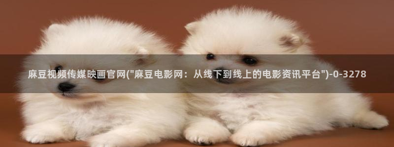 麻豆视频内容视频